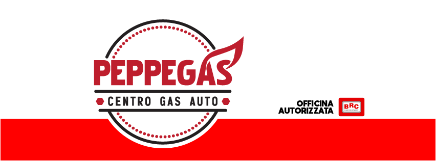 Peppegas Evolution di Atzei Giuseppe