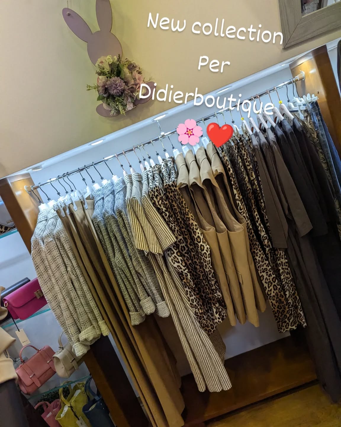 Didier Lingerie